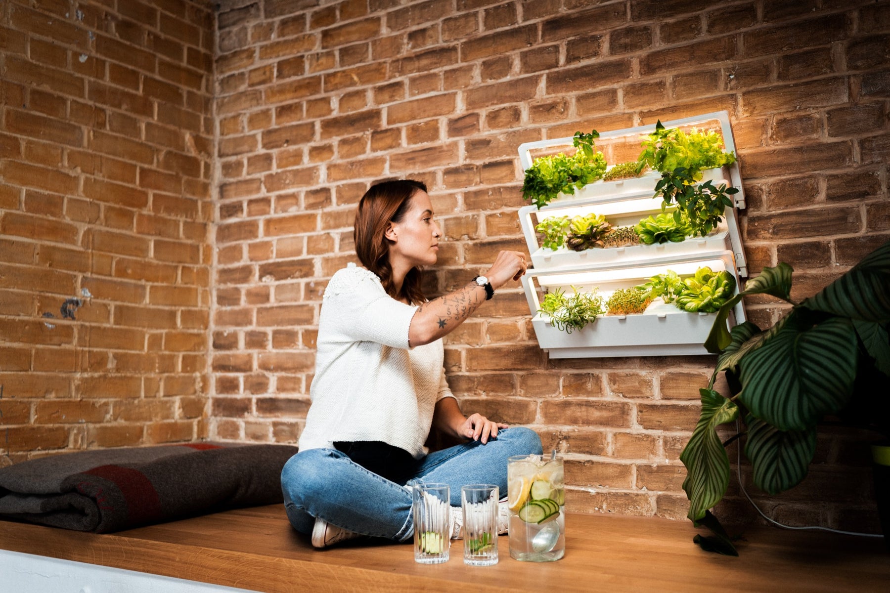 Frau macht sich einen leckeren Drink und erntet dafür frische Kräuter aus dem indoor Garten homefarm