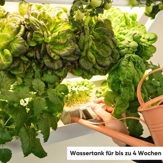 homefarm 2.0