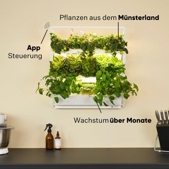 homefarm 2.0