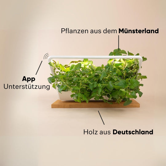 minigranja