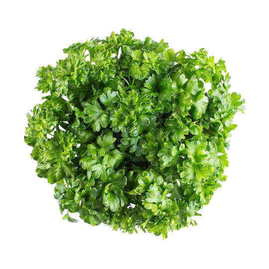 Petersilie Kraus 5er Pack