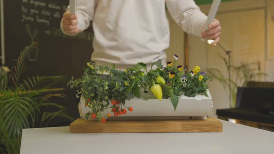 LEDs avanzadas para plantas
