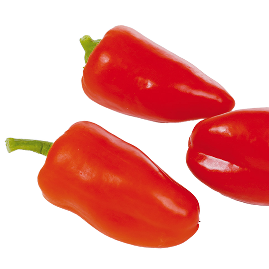 Paprika Rot