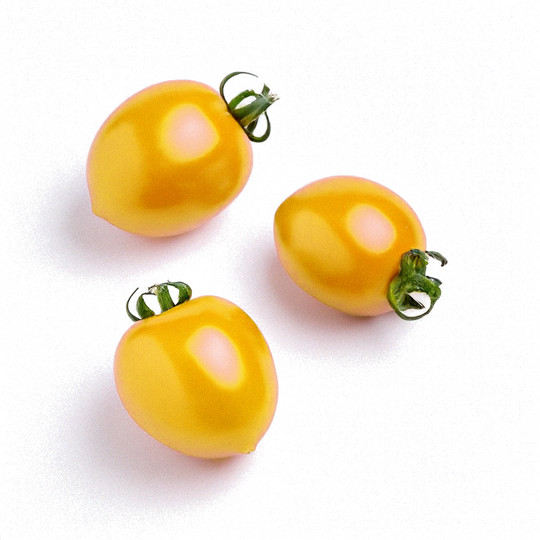 Snacktomaten Geel