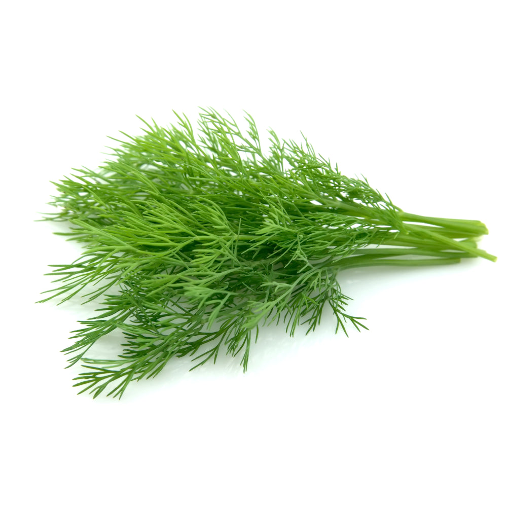 Fenchel