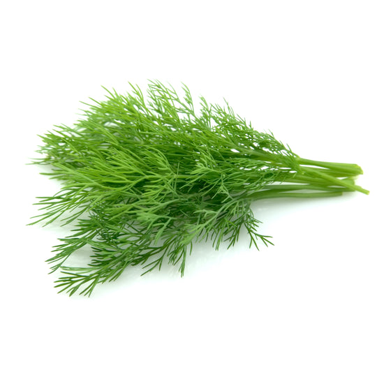 Fenchel