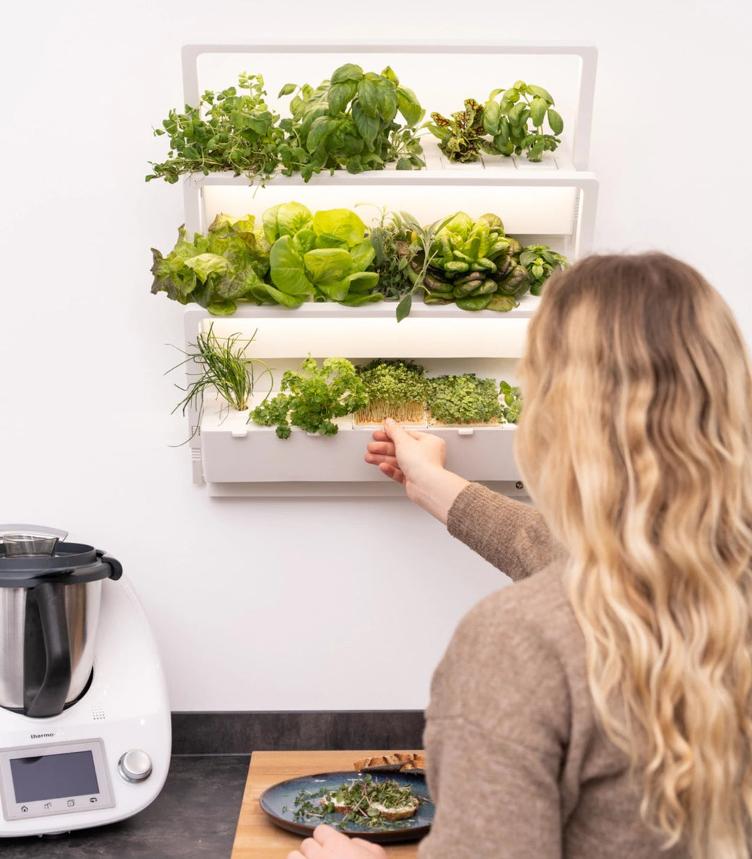 Die homefarm hängt an der Wand. Eine Person bedient sich an den Microgreens für die Garnierung eines Salates.