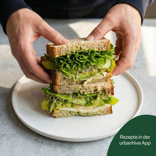 Salanova® Caravel 5er Pack