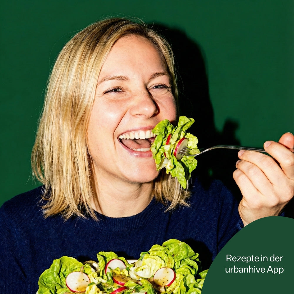 Kopfsalat Casey 5er Pack