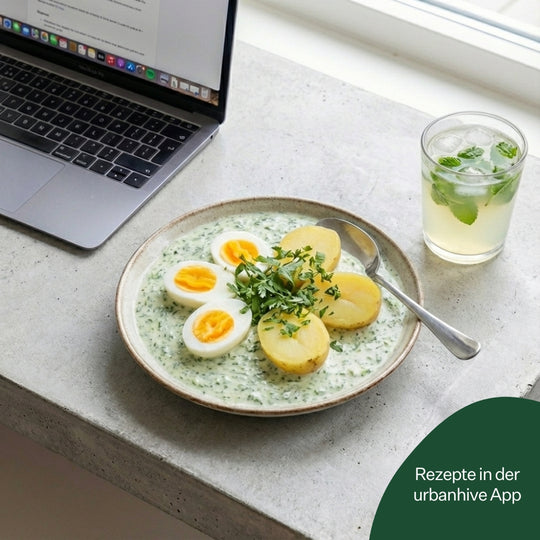 Grüner Sauerampfer 5er Pack