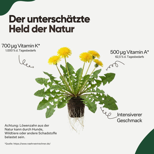 Dandelion