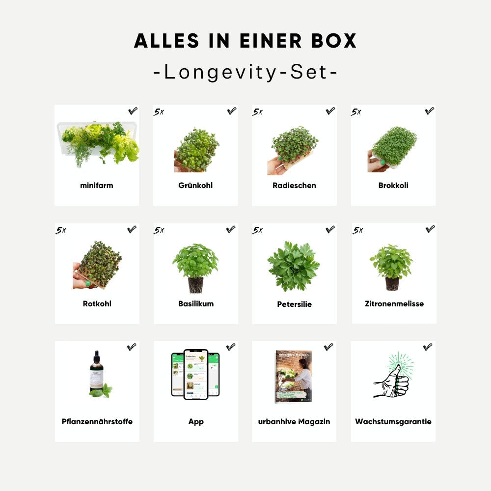 minifarm Pflanzen-Set