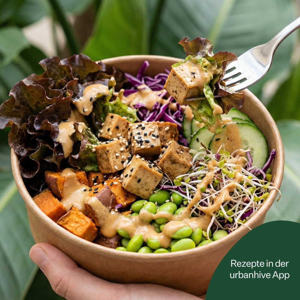 Salanova® Barlach 5er Pack