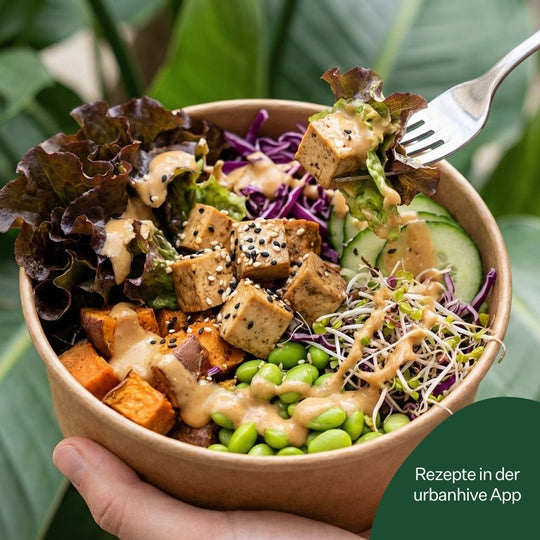 Salanova® Barlach 5er Pack