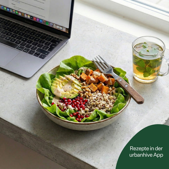 Salanova® Chalmers 5er Pack