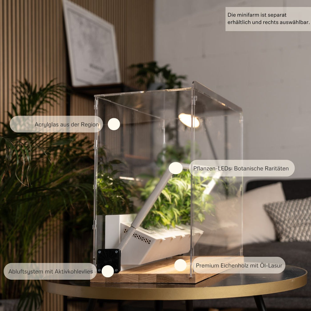 Display case