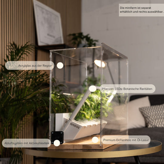 Display case