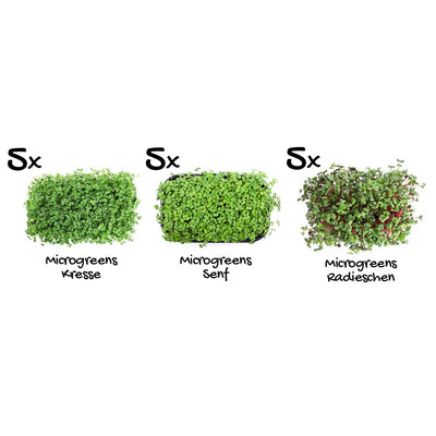 Pflanzenset “Starter Mix Bundle” 30er