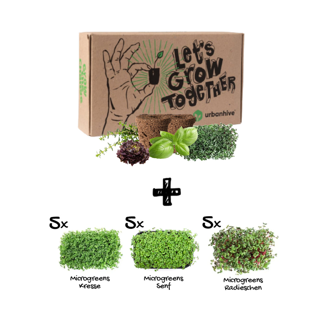 Pflanzenset “Starter Mix Bundle” 30er
